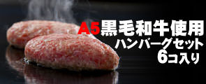 ハンバーグ