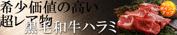 ハラミ焼肉