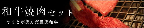 焼肉セット