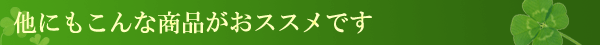 他にもこんな商品がお勧めです