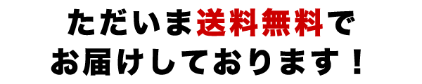 ただいま送料無料です。