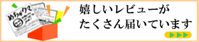 レビュー