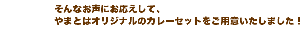 おウチでカレーセット