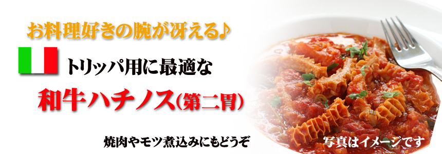 トリッパレシピ＆トリッパ用ハチノス