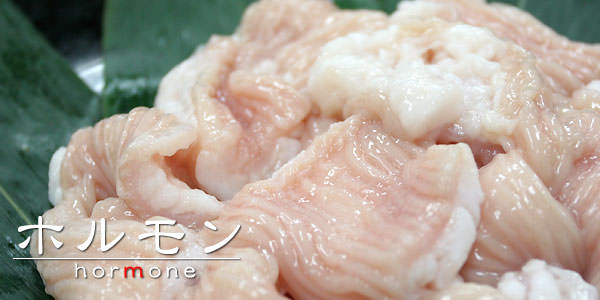 ホルモン