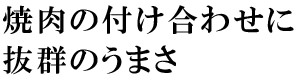 特製キムチの素 400g浅漬けキムチに最適！