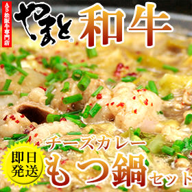 カレーもつ鍋