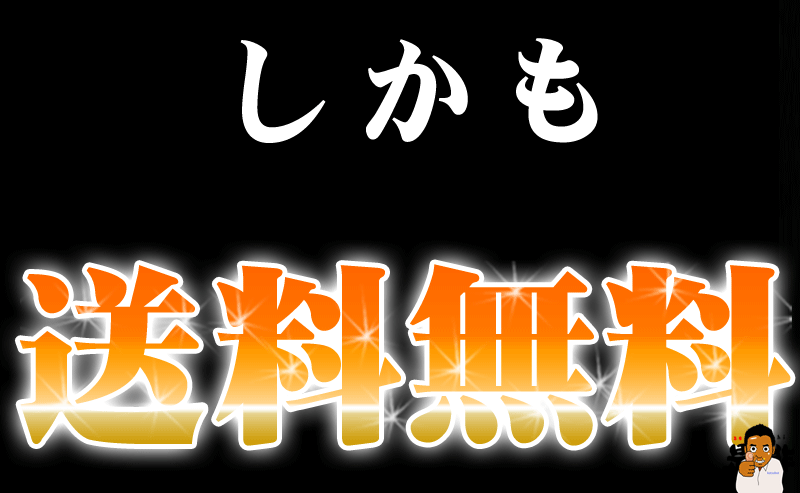 送料無料