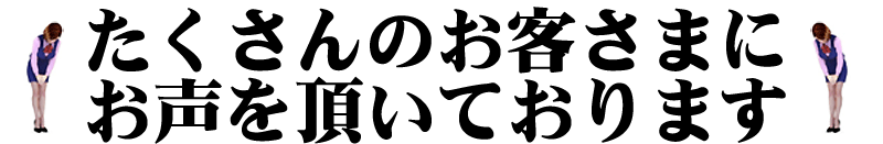 切り落としレビュー