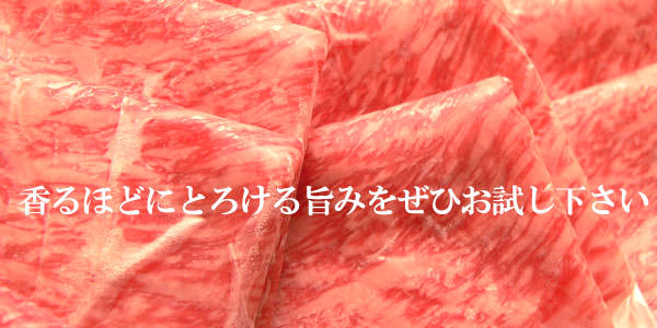 最高の松阪牛をお試し価格で。松阪牛おためし肉