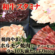 ホルモン焼肉パーティーセット