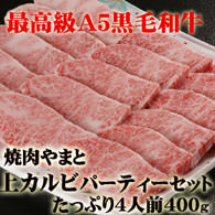 カルビ焼肉パーティーセット