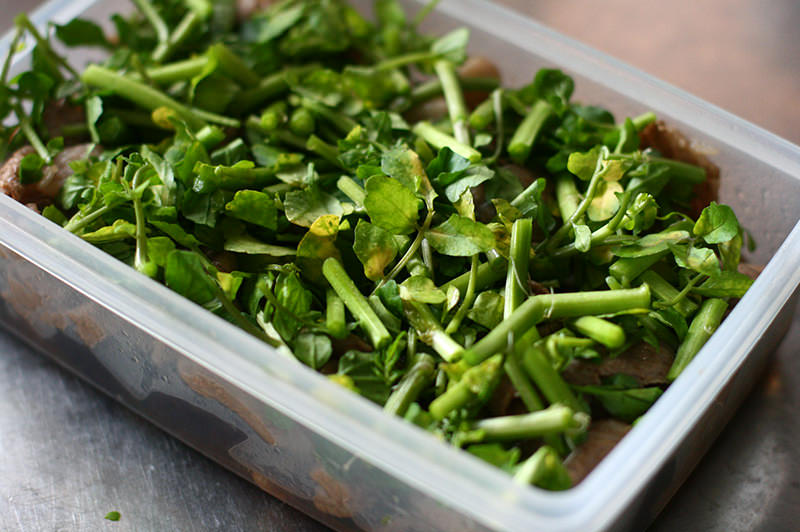 牛しゃぶとナスのバルサミコマリネ