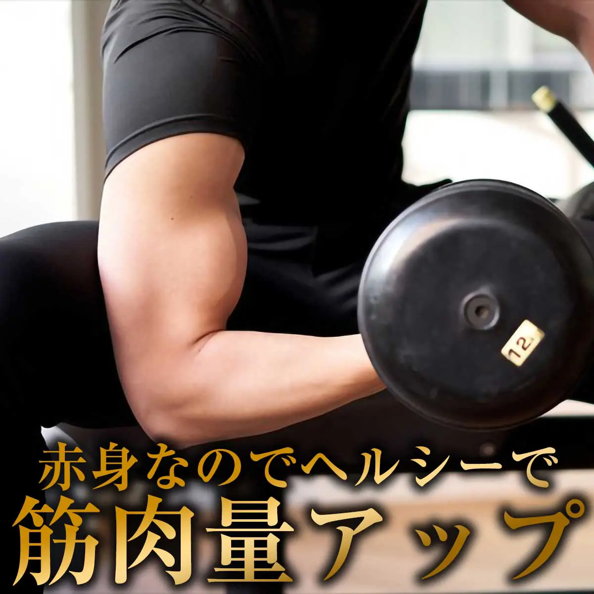 筋肉福袋
